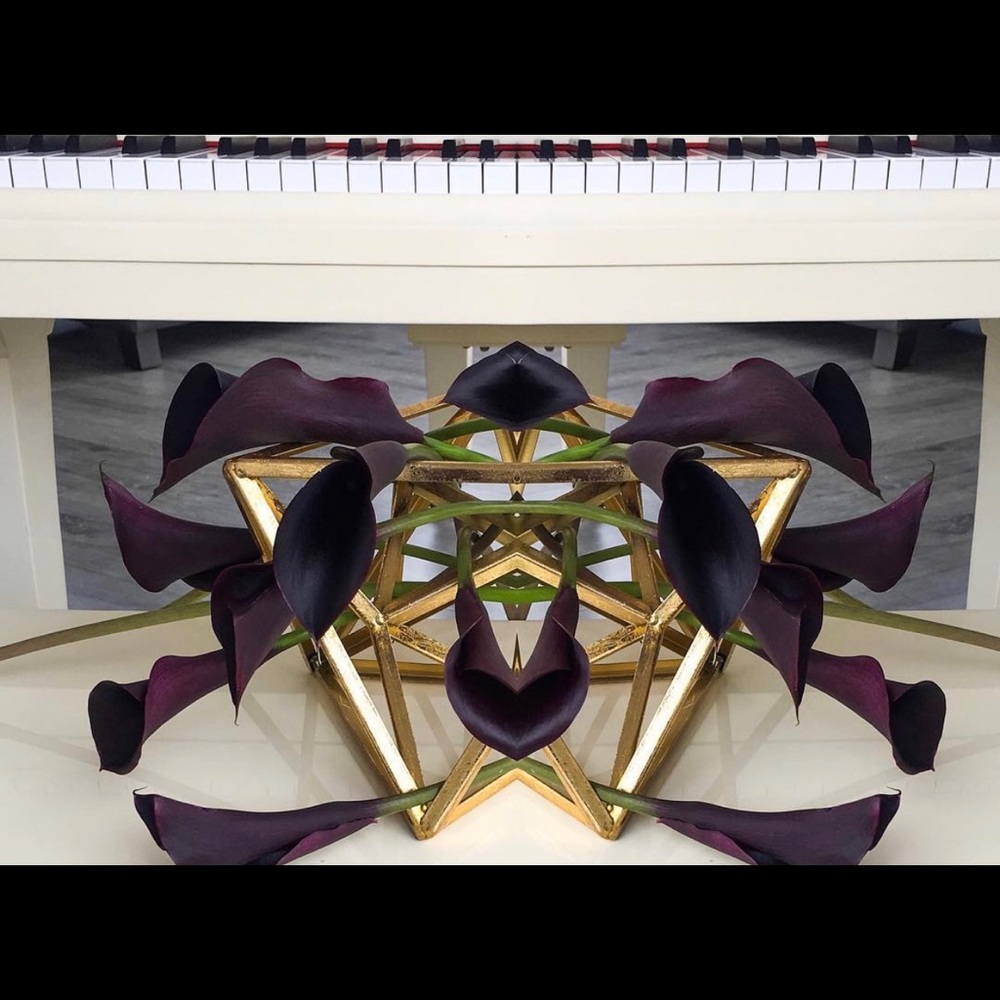 Meet your Posher, Diana